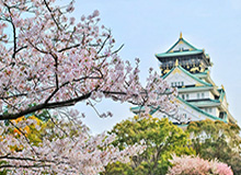 安博体育官方入口-足协确认女超8月23日海埂重启 采用两阶段赛会制